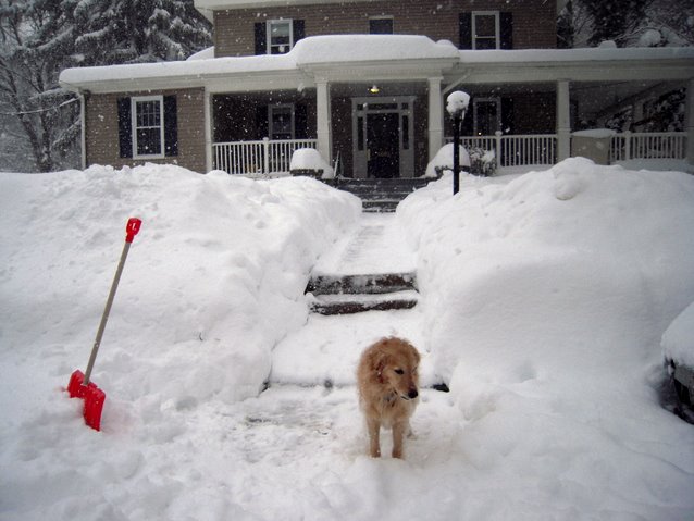 Bella disapproves of the new snow